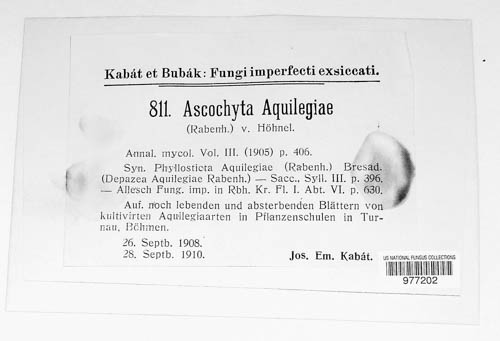 Ascochyta aquilegiae image